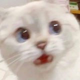 不迷路的宇航员