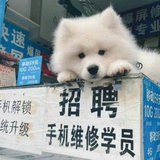 金错刀