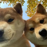 我与春风皆过客