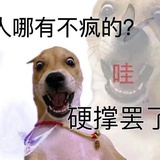 能活一天是一天