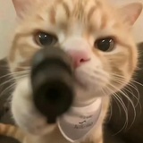皓月
