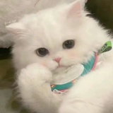 道枝骏佑的姐姐