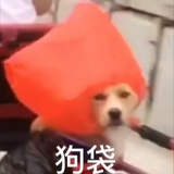 into1＿语文波