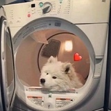 草莓熊🍓