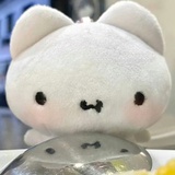 豆友