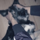 于时