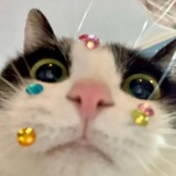 小贾碧玉
