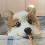 孔连笙