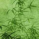 翠浓