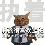 已跑路