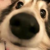 只和傻子讲道理