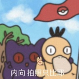 招招