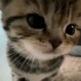 每天都学六小时