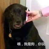 喂我是狗你说