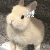 宇宙美丽芭比