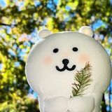 温柔而坚强