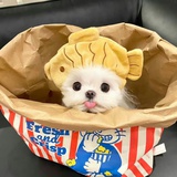 빵