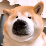 香菜就是很难吃