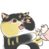 喵喵猫猫
