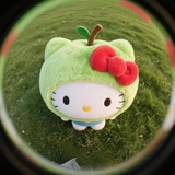 好运版猫猫