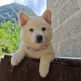 给我一杯一点点