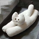 遗憾较量浪漫