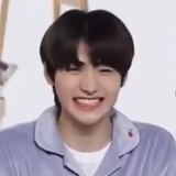 小狗很可爱