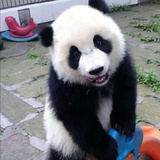 草生艰难
