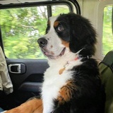 人生不如一行诗