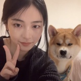 奷鹤