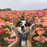 今天也要上班吗
