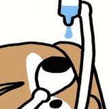 野走了我的睡眠