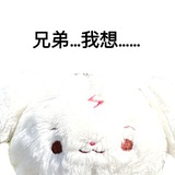 Yy23