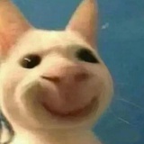 柚子