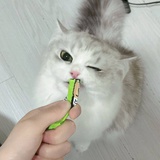 请叫我欧欧姐