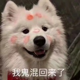 皮卡丘（充电中