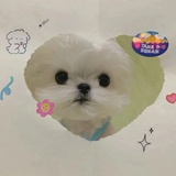 不吃早饭.
