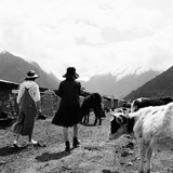 黄栩渼