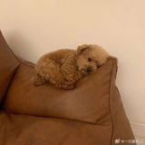 巧克力