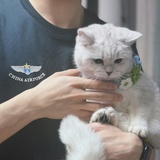 邁克爾·邁爾斯