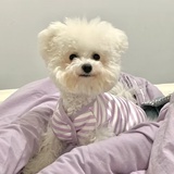 注意休息