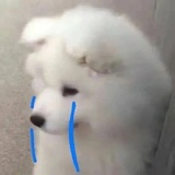 拢西