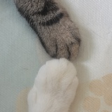 马上就有钱