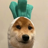 小犬一郎🌖