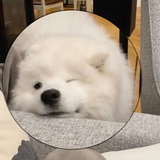 原也