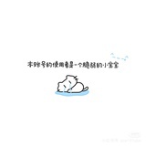 瓷月