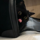 短裤男杀手