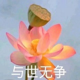 从不单推