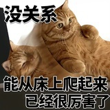 表情包囤积大户