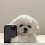 i嗦粉歌手